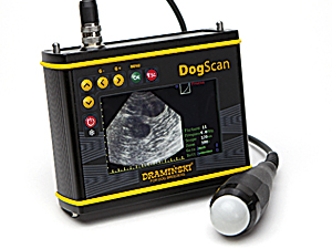 Leichtes und portables Ultraschallgerät zum schnellen Trächtigkeitsnachweis bei kleinen Tieren