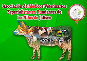 Veterinärkongress in Jalisco