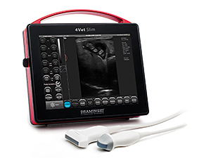 mobiles Ultraschallgerät, Touchscreen, Ultraschallgerät für Tierarztpraxis