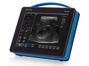 Modernes portables Dramiński Blue Ultraschallgerät für die Veterinärmedizin