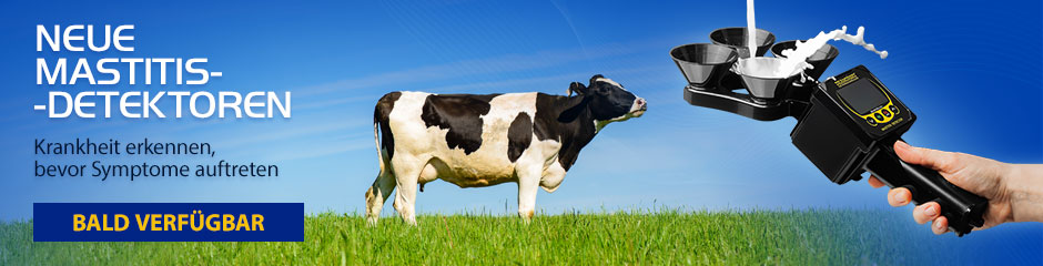 Euterentzündung bei einer Kuh, Ziege, Schaf. Subklinische Mastitis. Mastitis - wie zu diagnostizieren.