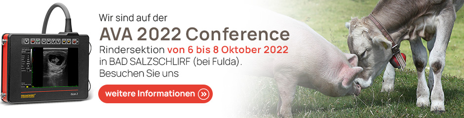 Konferenz AVA 2022